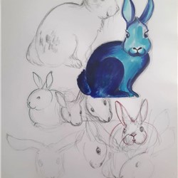Modrý králík